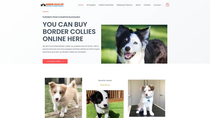 Bordercolliepet.com - Bordercollie Puppy Scam Review