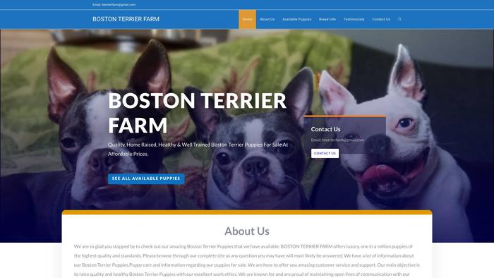 Bostonterrierfarm.com - Boston Terrier Puppy Scam Review