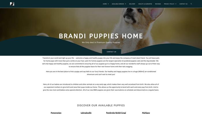 Brandipuppies.com - Maltipoo Puppy Scam Review