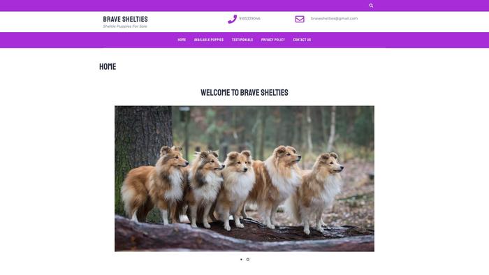 Braveshelties.com - Sheltie Puppy Scam Review