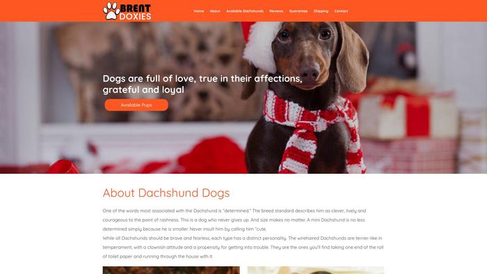 Brentdoxies.com - Dachshund Puppy Scam Review