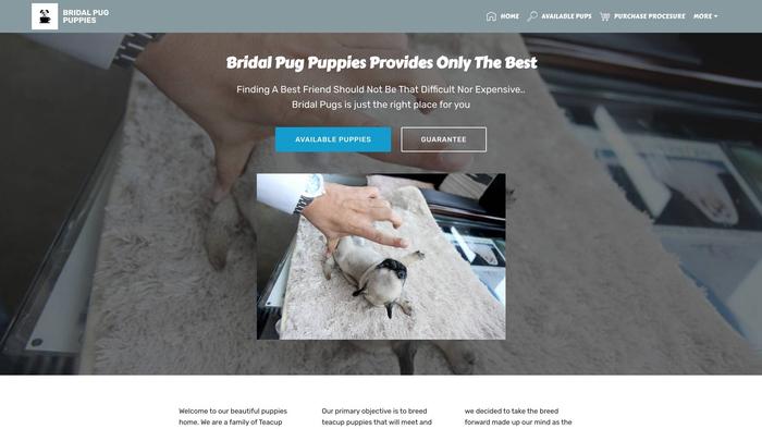 Bridalpugs.com - Pug Puppy Scam Review