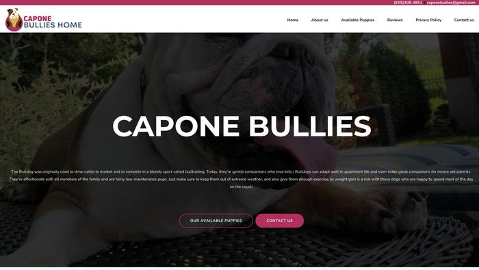 Caponebullies.com - English Bulldog Puppy Scam Review