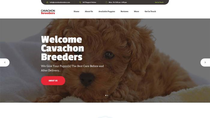 Cavachonbreeders.com - Cavachon Puppy Scam Review