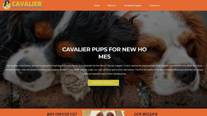 Cavalierpupsfornewhomes.com - Cavalier King Charles Spaniel Puppy Scam Review