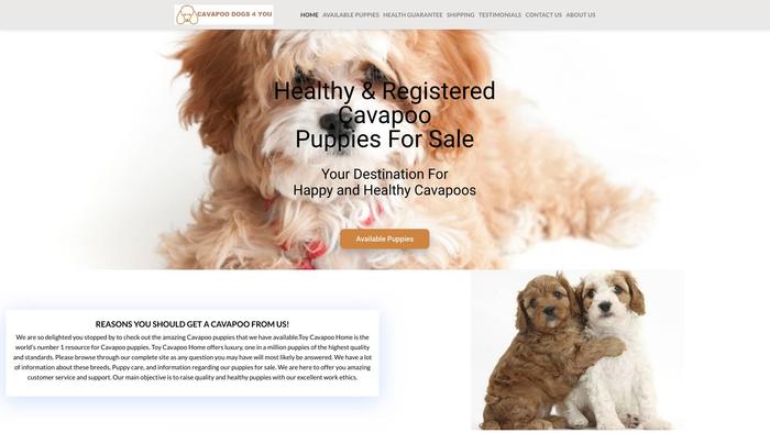 Cavapoodogs4you.com - Cavapoo Puppy Scam Review