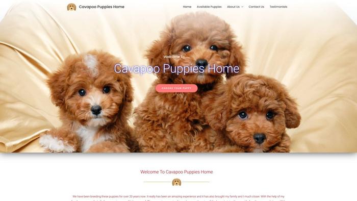 Cavapoopuppies.xyz - Cavapoo Puppy Scam Review