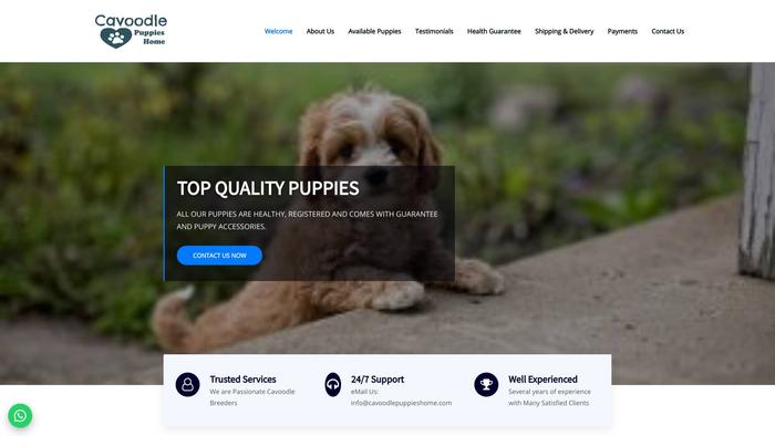 Cavoodlepuppieshome.com - Cavapoo Puppy Scam Review