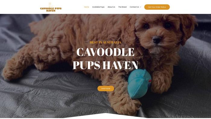 Cavoodlepupshaven.com - Cavapoo Puppy Scam Review