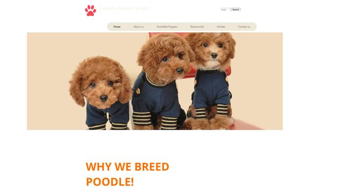 Celebritypoodles.com - Poodle Puppy Scam Review