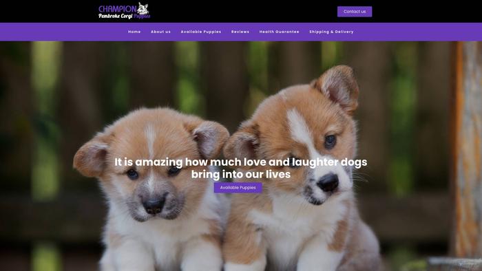 Championpembrokecorgipup.com - Corgi Puppy Scam Review