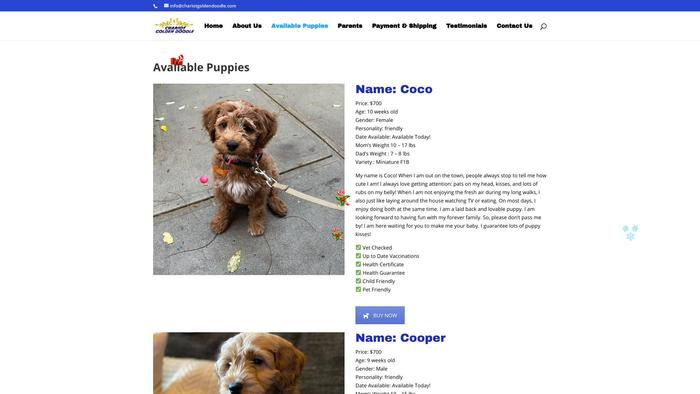 Chariotgoldendoodle.com - Golden Doodle Puppy Scam Review