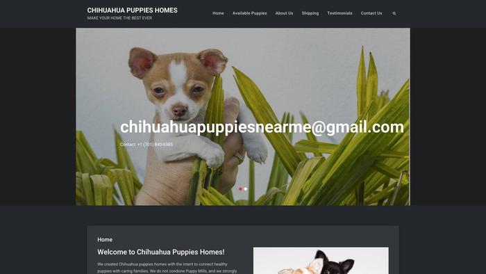 Chihuahuapuppieshomes.com - Chihuahua Puppy Scam Review