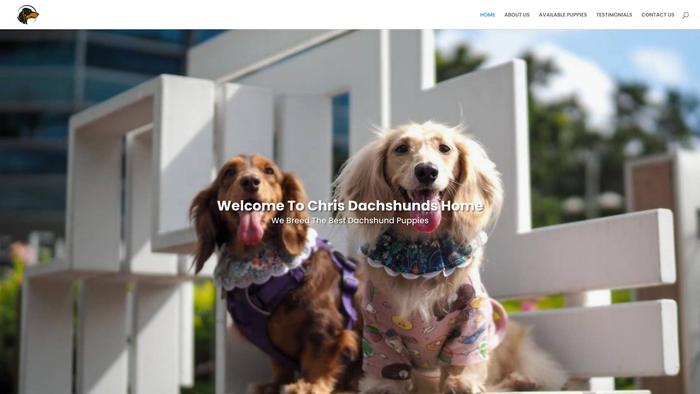 Chrisdachshundshome.com - Dachshund Puppy Scam Review