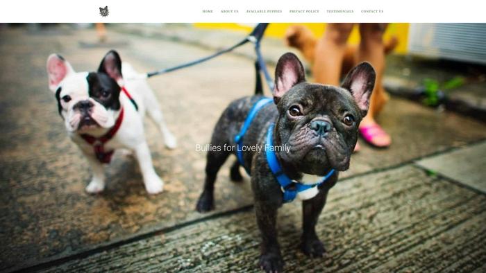 Christmasfrenchbulldogs.com - French Bulldog Puppy Scam Review