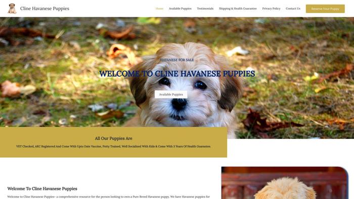 Clinehavanesepuppies.com - Havanese Puppy Scam Review