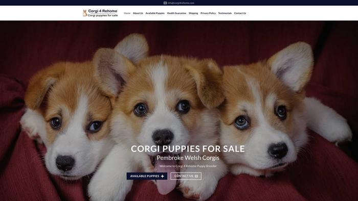 Corgi4rehome.com - Corgi Puppy Scam Review