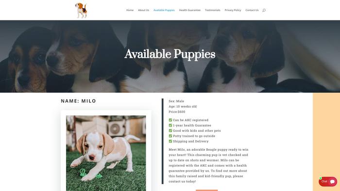 Cozybeaglebreeders.com - Beagle Puppy Scam Review