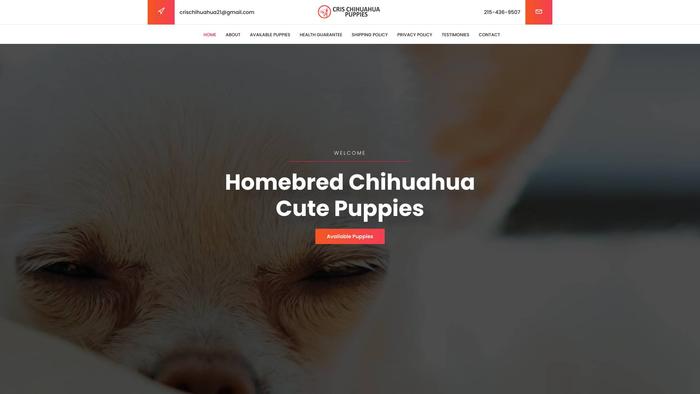 Crischihuahuapuppies.com - Chihuahua Puppy Scam Review