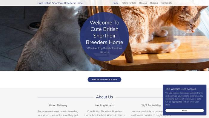 Cutebritishshorthairbreeders.net - British Shorthair Puppy Scam Review