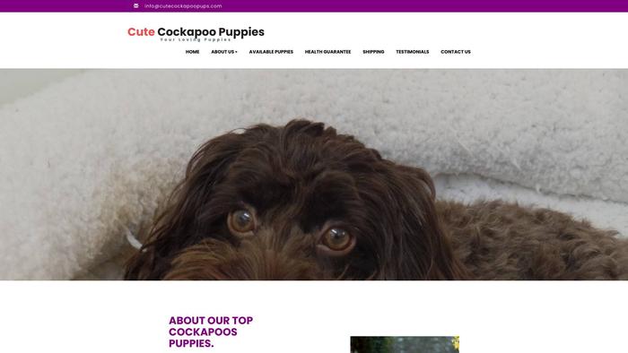 Cutecockapoopups.com - Cockapoo Puppy Scam Review