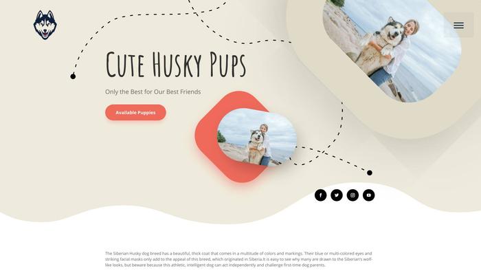 Cutehuskypups.com - Husky Puppy Scam Review