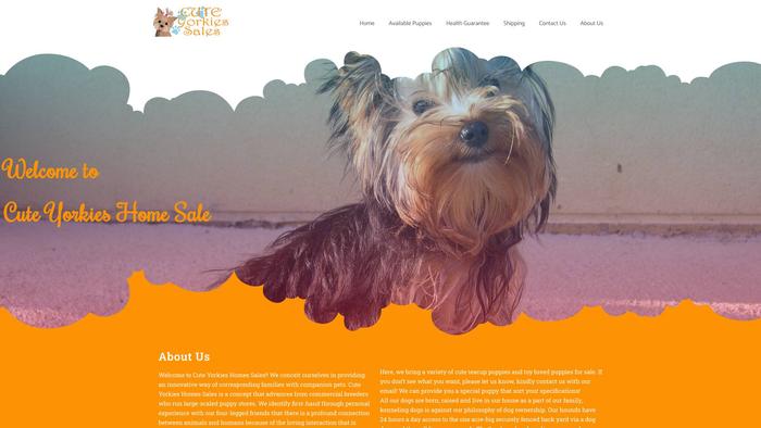 Cuteyorkiesale.com - Yorkshire Terrier Puppy Scam Review