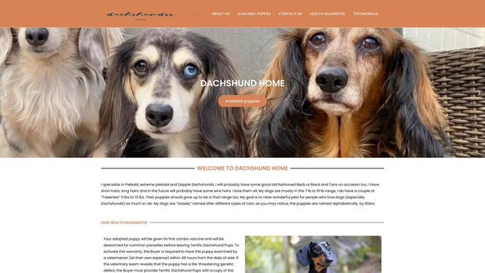 Dachshundhome.store - Dachshund Puppy Scam Review