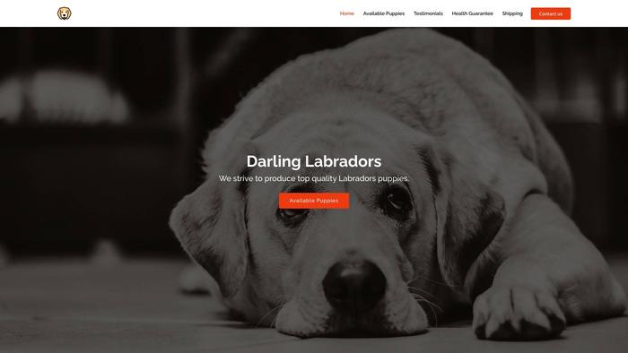 Darlinglabradors.com - Labrador Puppy Scam Review