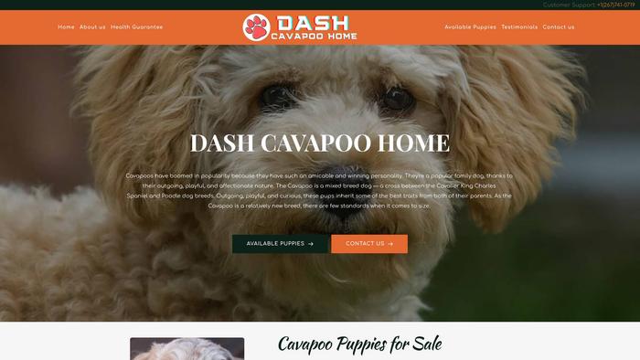 Dashcavapoohome.com - Cavapoo Puppy Scam Review