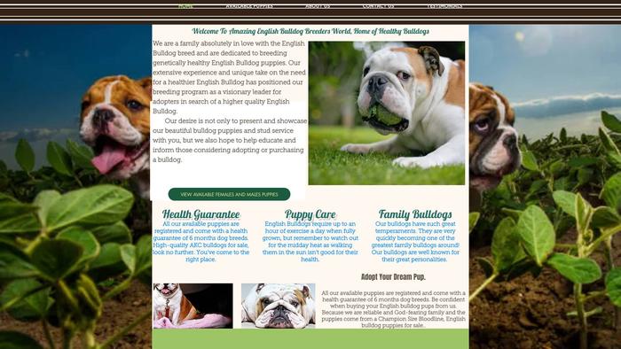 Davenglishbulldogs.com - English Bulldog Puppy Scam Review