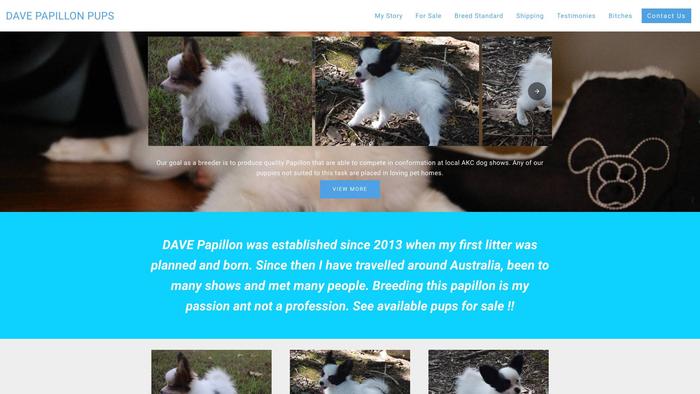 Davepapillonpuppies.com - Papillon Puppy Scam Review