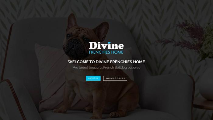 Divinefrenchieshome.com - French Bulldog Puppy Scam Review