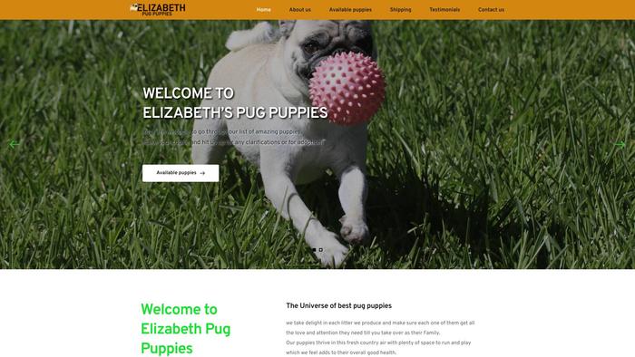 Elizabethpugpuppies.com - Dachshund Puppy Scam Review