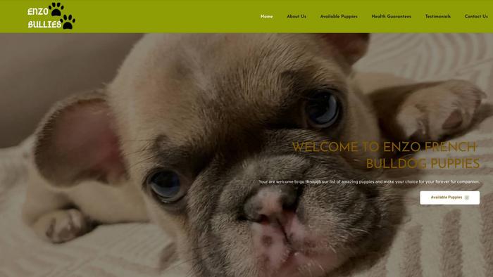 Enzofrenchbulldogpuppies.com - French Bulldog Puppy Scam Review