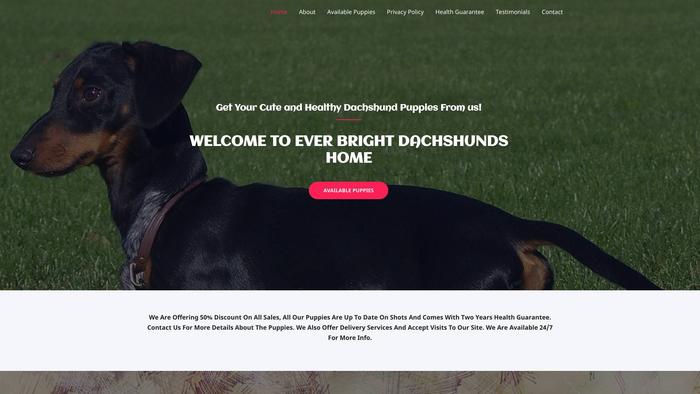 Everbrightdachshunds.com - Dachshund Puppy Scam Review