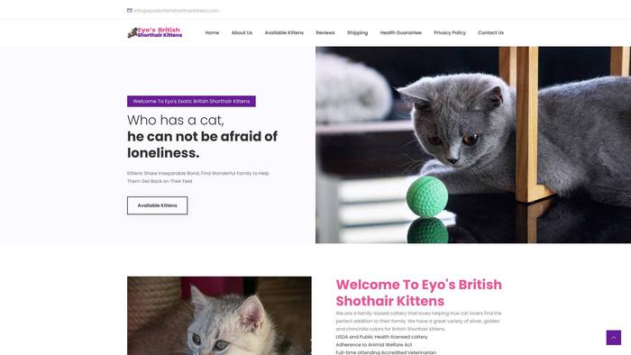 Eyosbritishshorthairkittens.com - British Shorthair Puppy Scam Review