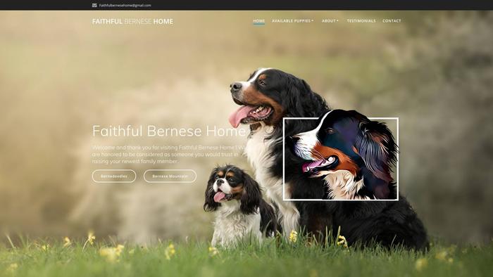 Faithfulbernesehome.com - Bernese Mountain Dog Puppy Scam Review