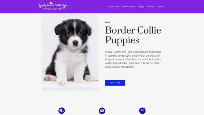 Familybordercolliepups.com - Bordercollie Puppy Scam Review