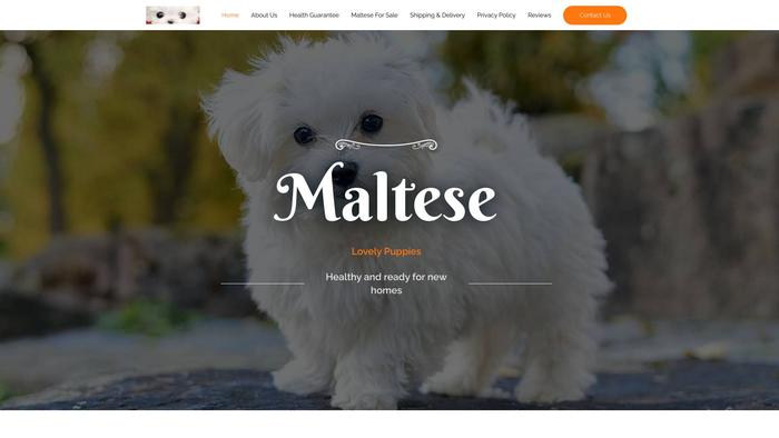 Familymaltesepuppies.com - Maltese Puppy Scam Review