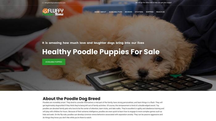 Fluffypoodleshome.com - Poodle Puppy Scam Review