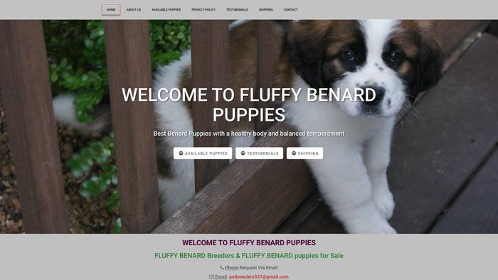 Fluffystbernardpup.com - Saint Bernard Puppy Scam Review