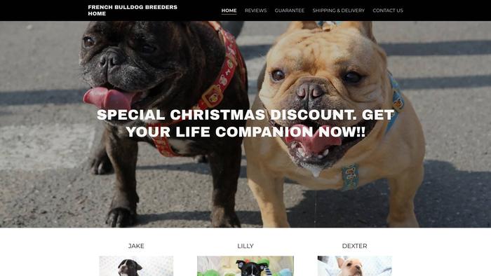 Frenchiebreedershomes.com - French Bulldog Puppy Scam Review