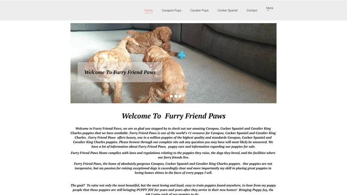 Furryfriendpaws.com - French Bulldog Puppy Scam Review