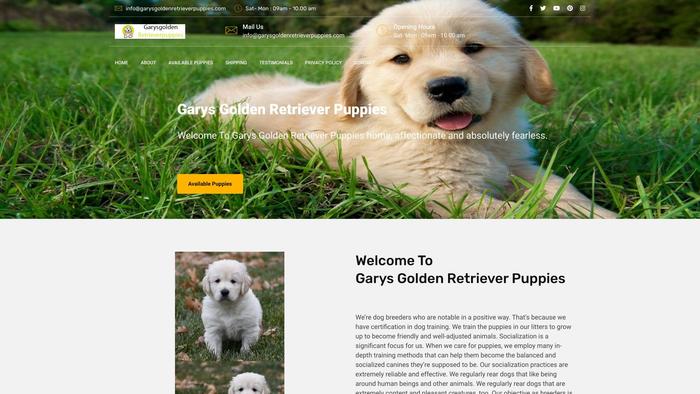 Garysgoldenretrieverpuppies.com - Golden Retriever Puppy Scam Review