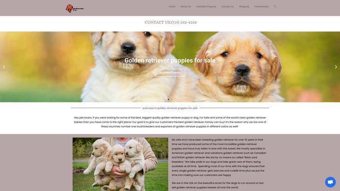 Goldenretrieverpuppiesforsale.store - Golden Retriever Puppy Scam Review