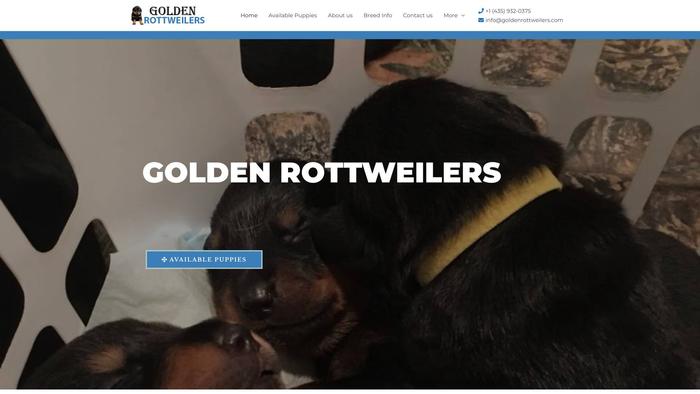 Goldenrottweilers.com - Pit Bull Puppy Scam Review