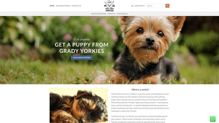 Gradyyorkiepuppies.com - Yorkshire Terrier Puppy Scam Review