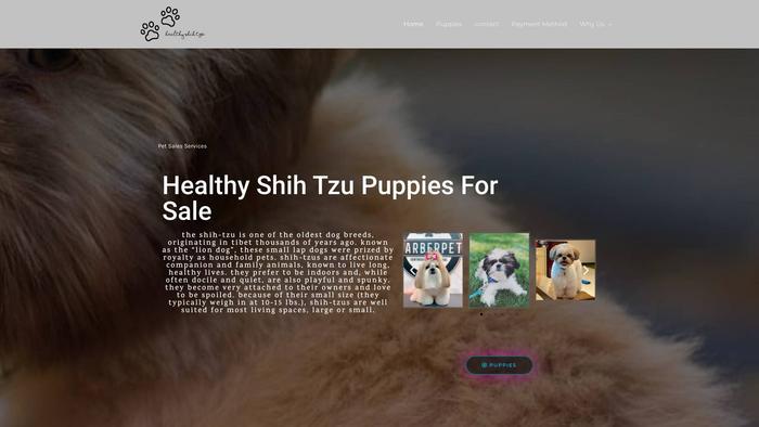 Healthy-shihtzu.com - Shihtzu Puppy Scam Review