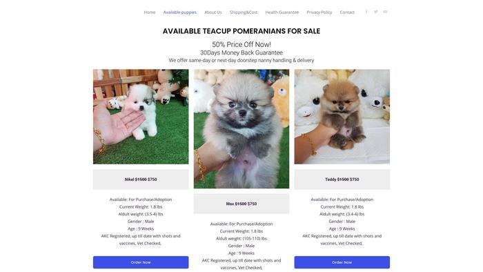 Healthyteacuppomeraniandogs.com - Pomeranian Puppy Scam Review